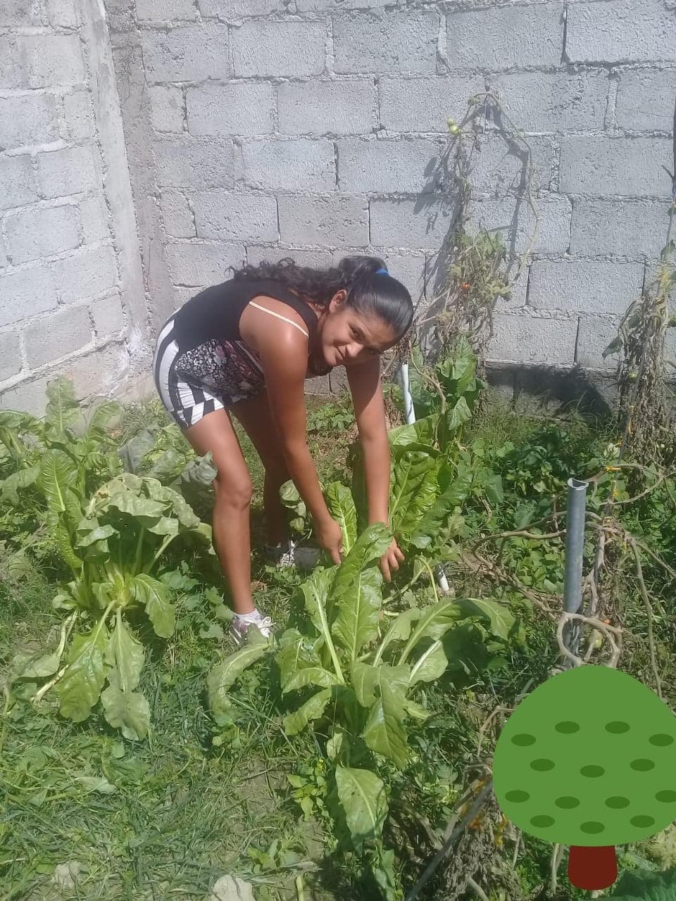 Valores que construyen comunidad